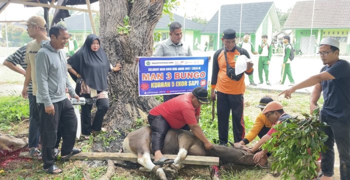 Tiga Alasan Penting Ibadah Kurban bagi Umat Muslim Tiga Alasan Penting Ibadah Kurban bagi Umat Muslim