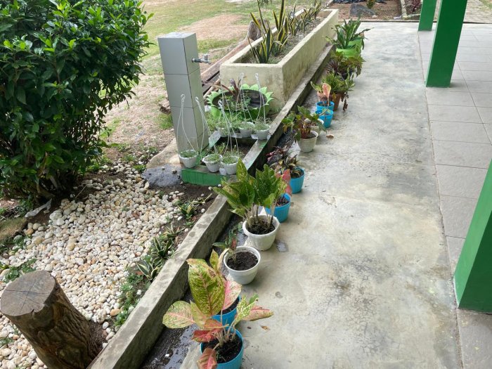 Halaman Kelas MAN 3 Dihiasi Tanaman Asri