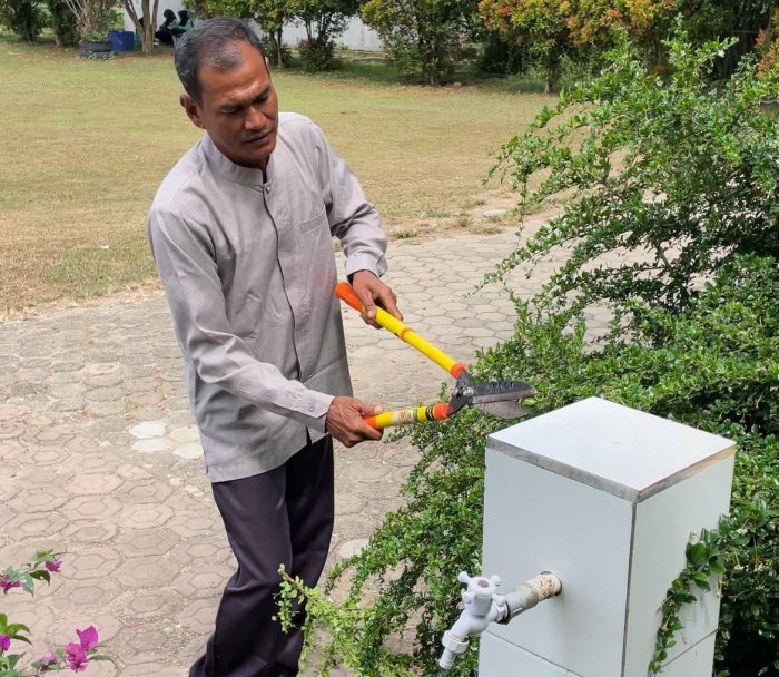 Petugas Keamanan MAN 3 Bungo Pangkas Tanaman di Halaman Sekolah Petugas Keamanan MAN 3 Bungo Pangkas Tanaman di Halaman Sekolah