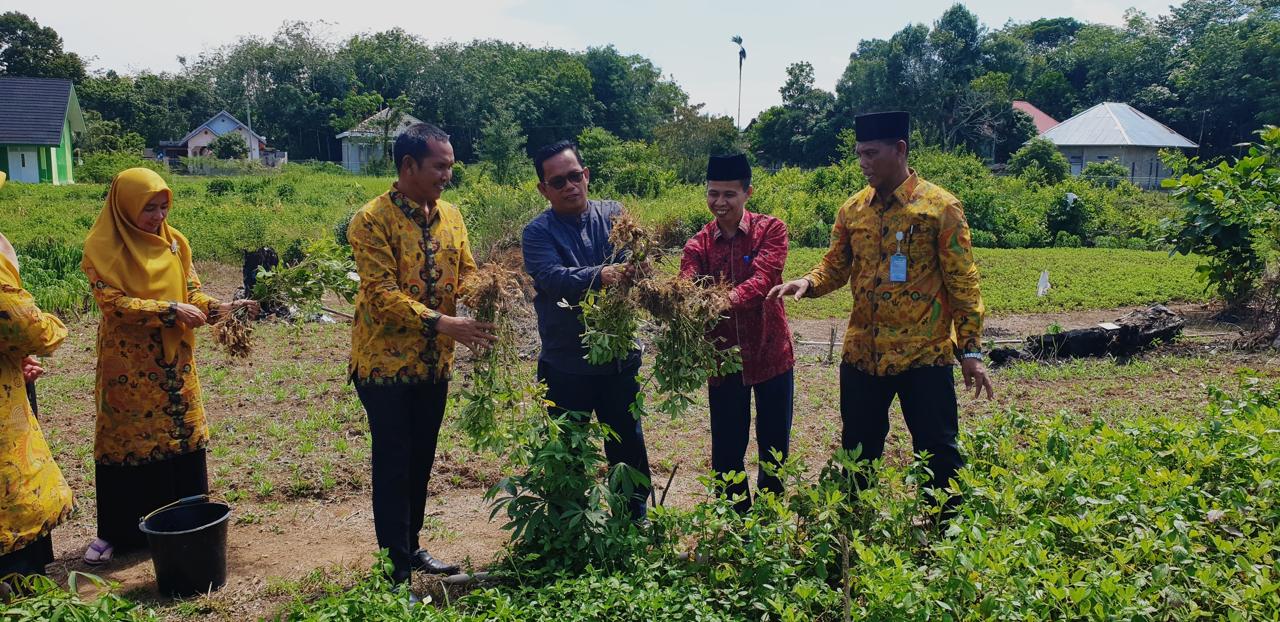 Realisasikan P5RA MAN 3 Bungo Mengubah Lahan Tidak Produktif Menjadi Hamparan Kebun Realisasikan P5RA MAN 3 Bungo Mengubah Lahan Tidak Produktif Menjadi Hamparan Kebun