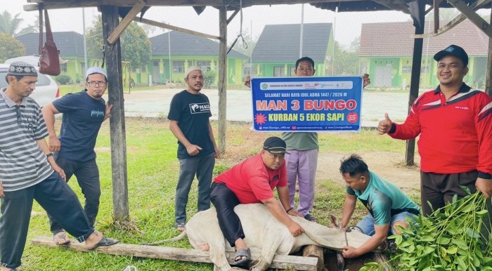 MAN 3 Bungo Laksanakan Kurban 1447 H dengan Lima ekor Sapi MAN 3 Bungo Laksanakan Kurban 1447 H dengan Lima ekor Sapi