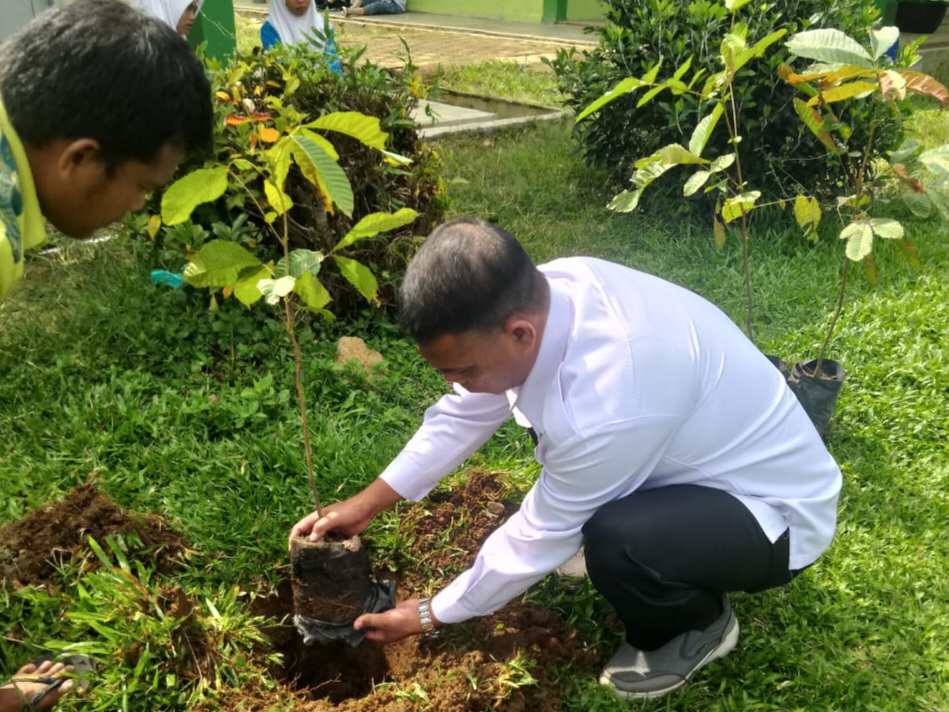 Kepala MAN 3 Bungo Laksanakan Penanaman Pohon Matoa dalam Rangka Implementasi Asta Protas Kementerian Agama