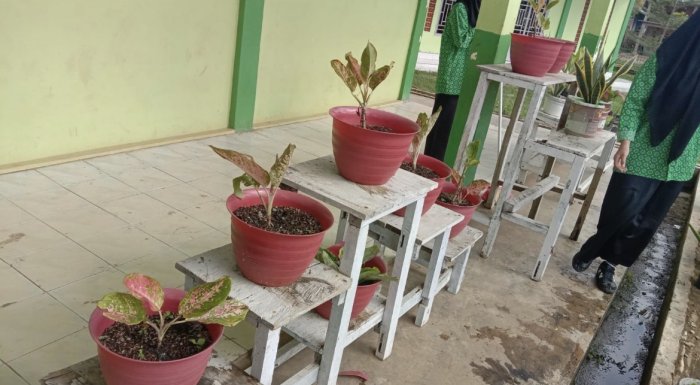 Wali Kelas Ajak Siswa Hias Kelas dengan Pot Bunga