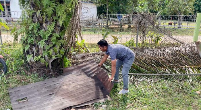 Pegawai Tata Usaha Bersihkan Seng untuk Cegah DBD Pegawai Tata Usaha Bersihkan Seng untuk Cegah DBD