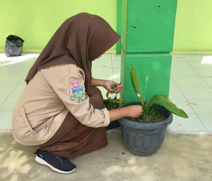 Siswi MAN 3 Bungo Terampil Merawat Bunga