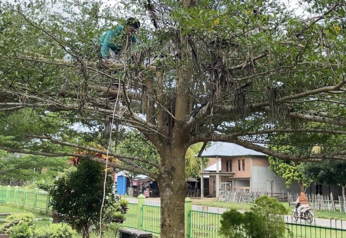 MAN 3 Bungo Revitalisasi Taman Bunga Sekolah