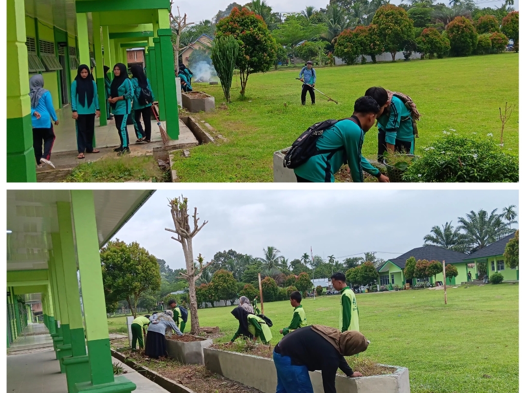MAN 3 Bungo Gelar Aksi Gotong Royong dan Penghijauan Lingkungan Madrasah