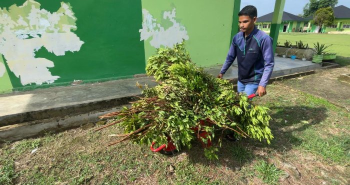 Puasa Bukan Hambatan, MAN 3 Bungo Tetap Jaga Lingkungan Bersih Puasa Bukan Hambatan, MAN 3 Bungo Tetap Jaga Lingkungan Bersih