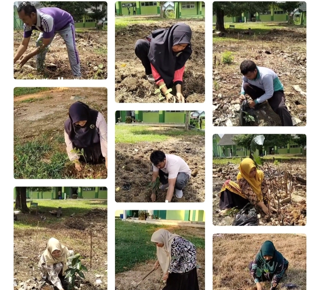 PPPK Tahap 1 MAN 3 Bungo Tanam Pohon untuk Wujudkan Nilai Ekoteologi dan Dukung Asta Protas Kemenag RI PPPK Tahap 1 MAN 3 Bungo Tanam Pohon untuk Wujudkan Nilai Ekoteologi dan Dukung Asta Protas Kemenag RI